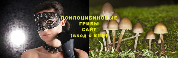 apvp Абдулино